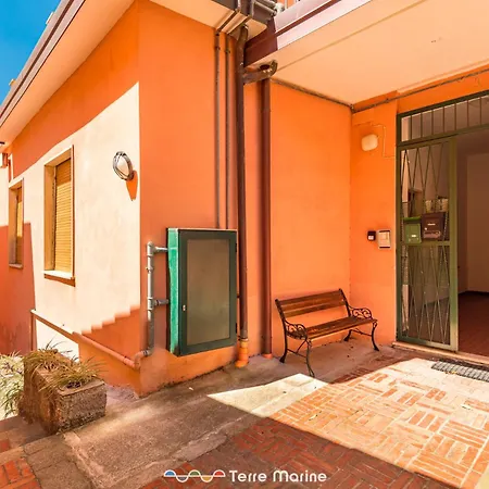 Tik Tok, Terremarine