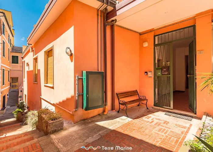 Tik Tok, Terremarine